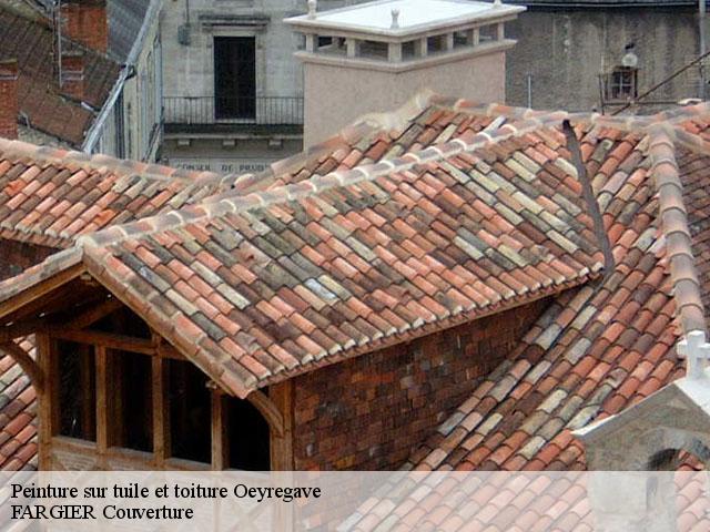 Peinture sur tuile et toiture  oeyregave-40300 FARGIER Couverture