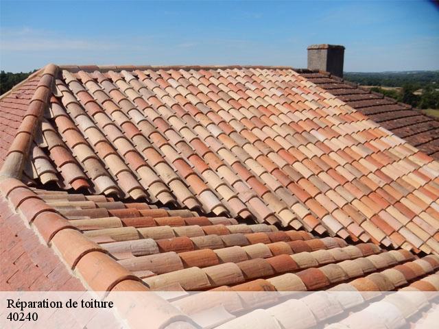 Réparation de toiture  betbezer-d-armagnac-40240 FARGIER Couverture