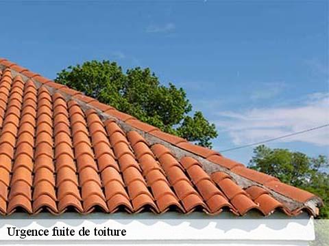 Urgence fuite de toiture  belus-40300 FARGIER Couverture