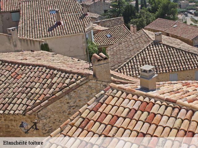 Etanchéité toiture 40 Landes  FARGIER Couverture