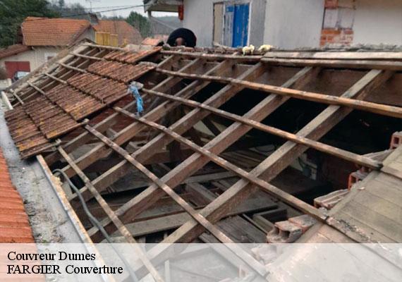 Couvreur  dumes-40500 FARGIER Couverture