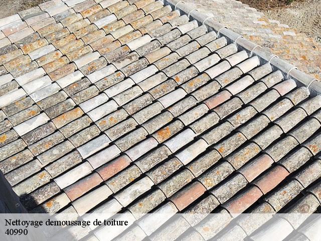 Nettoyage demoussage de toiture  angoume-40990 FARGIER Couverture
