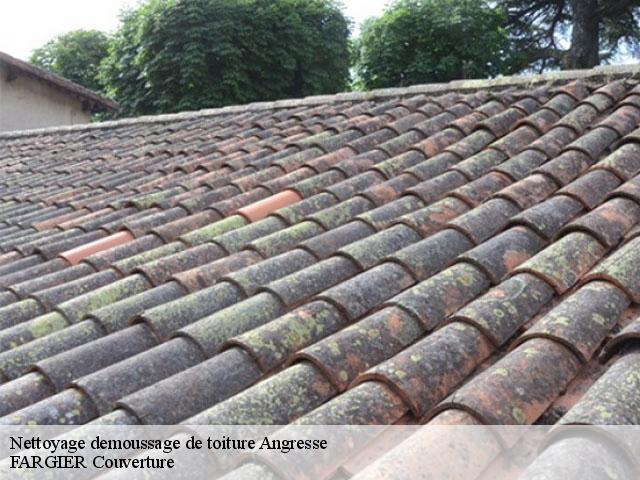 Nettoyage demoussage de toiture  angresse-40150 FARGIER Couverture