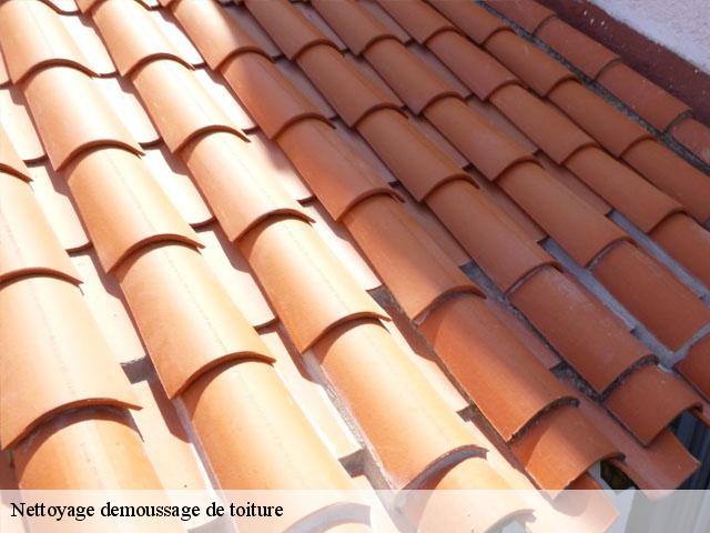 Nettoyage demoussage de toiture  borderes-et-lamensans-40270 FARGIER Couverture