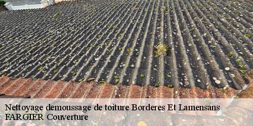 Nettoyage demoussage de toiture  borderes-et-lamensans-40270 FARGIER Couverture