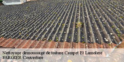 Nettoyage demoussage de toiture  campet-et-lamolere-40090 FARGIER Couverture