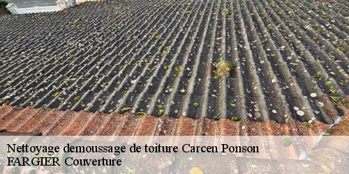 Nettoyage demoussage de toiture  carcen-ponson-40400 FARGIER Couverture
