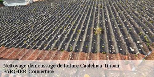 Nettoyage demoussage de toiture  castelnau-tursan-40320 FARGIER Couverture