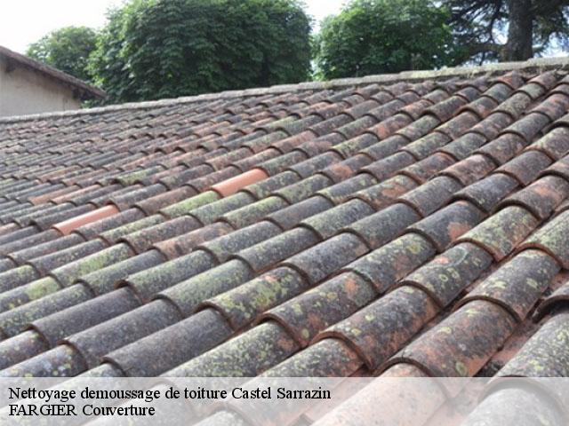 Nettoyage demoussage de toiture  castel-sarrazin-40330 FARGIER Couverture