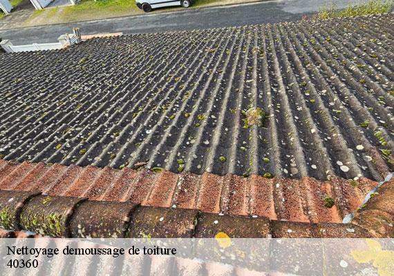 Nettoyage demoussage de toiture  donzacq-40360 FARGIER Couverture