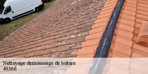 Nettoyage demoussage de toiture  donzacq-40360 FARGIER Couverture