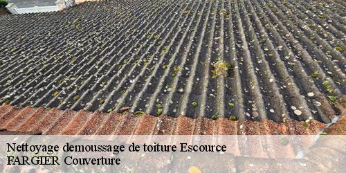 Nettoyage demoussage de toiture  escource-40210 FARGIER Couverture