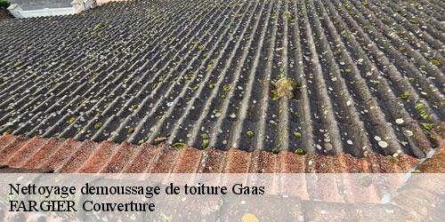 Nettoyage demoussage de toiture  gaas-40350 FARGIER Couverture