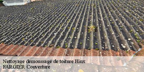 Nettoyage demoussage de toiture  hinx-40180 FARGIER Couverture