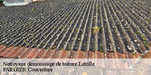 Nettoyage demoussage de toiture  latrille-40800 FARGIER Couverture