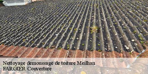 Nettoyage demoussage de toiture  meilhan-40400 FARGIER Couverture