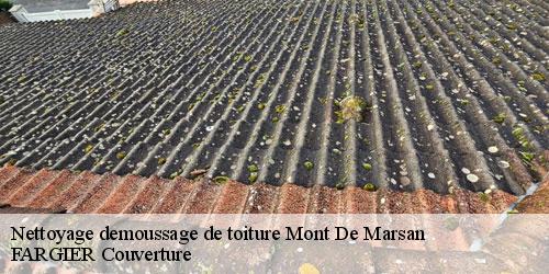 Nettoyage demoussage de toiture  mont-de-marsan-40000 FARGIER Couverture