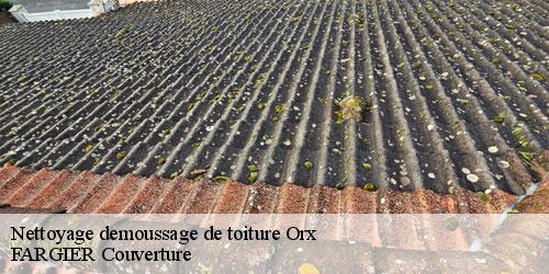 Nettoyage demoussage de toiture  orx-40230 FARGIER Couverture