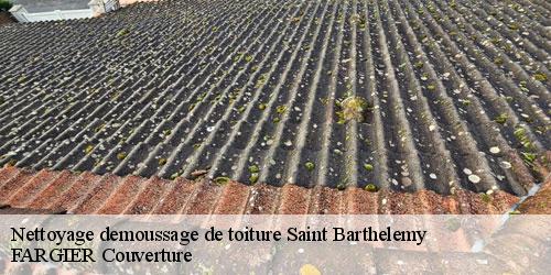 Nettoyage demoussage de toiture  saint-barthelemy-40390 FARGIER Couverture