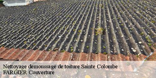 Nettoyage demoussage de toiture  sainte-colombe-40700 FARGIER Couverture