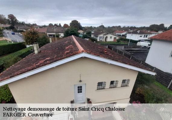 Nettoyage demoussage de toiture  saint-cricq-chalosse-40700 FARGIER Couverture