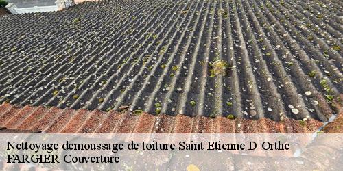 Nettoyage demoussage de toiture  saint-etienne-d-orthe-40300 FARGIER Couverture