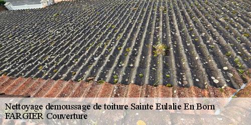 Nettoyage demoussage de toiture  sainte-eulalie-en-born-40200 FARGIER Couverture
