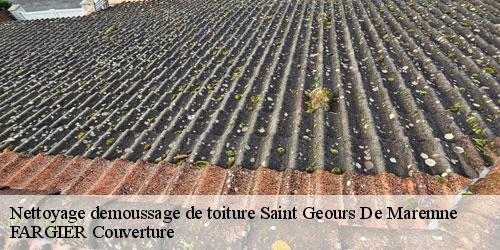 Nettoyage demoussage de toiture  saint-geours-de-maremne-40230 FARGIER Couverture