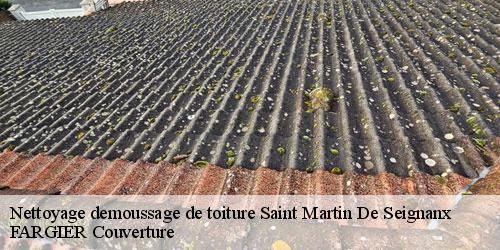 Nettoyage demoussage de toiture  saint-martin-de-seignanx-40390 FARGIER Couverture