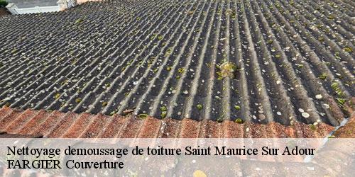 Nettoyage demoussage de toiture  saint-maurice-sur-adour-40270 FARGIER Couverture