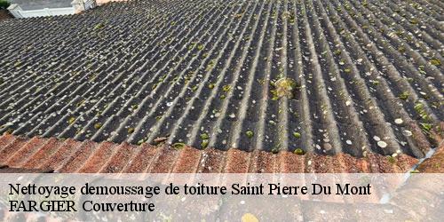 Nettoyage demoussage de toiture  saint-pierre-du-mont-40280 FARGIER Couverture