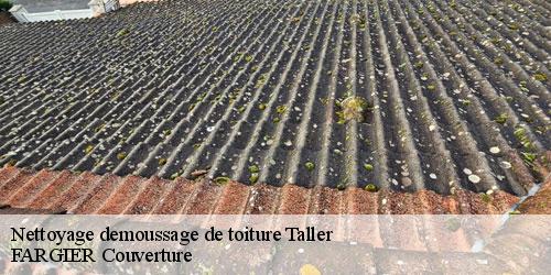 Nettoyage demoussage de toiture  taller-40260 FARGIER Couverture