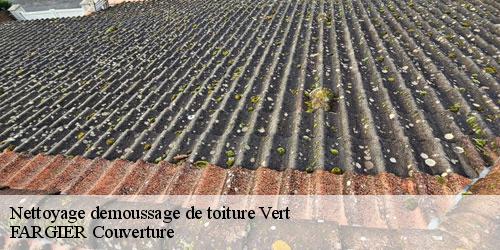Nettoyage demoussage de toiture  vert-40420 FARGIER Couverture