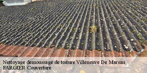 Nettoyage demoussage de toiture  villeneuve-de-marsan-40190 FARGIER Couverture
