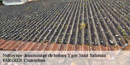 Nettoyage demoussage de toiture  ygos-saint-saturnin-40110 FARGIER Couverture