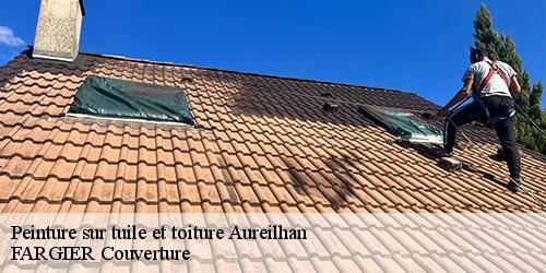 Peinture sur tuile et toiture  aureilhan-40200 FARGIER Couverture