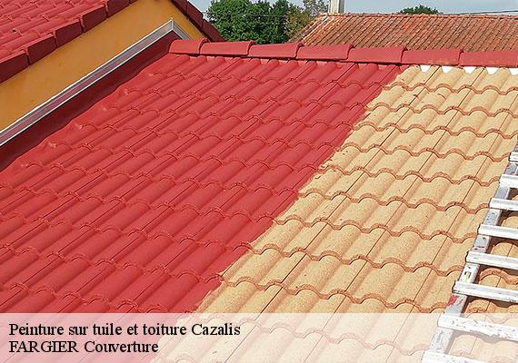Peinture sur tuile et toiture  cazalis-40700 FARGIER Couverture
