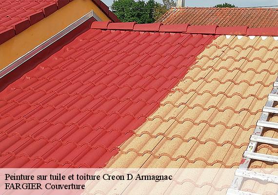 Peinture sur tuile et toiture  creon-d-armagnac-40240 FARGIER Couverture