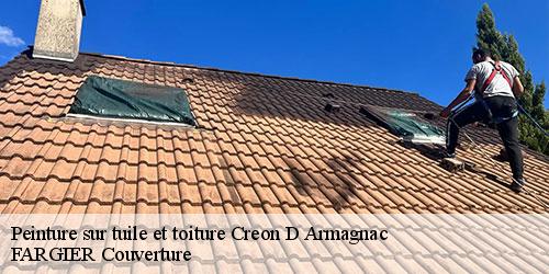 Peinture sur tuile et toiture  creon-d-armagnac-40240 FARGIER Couverture