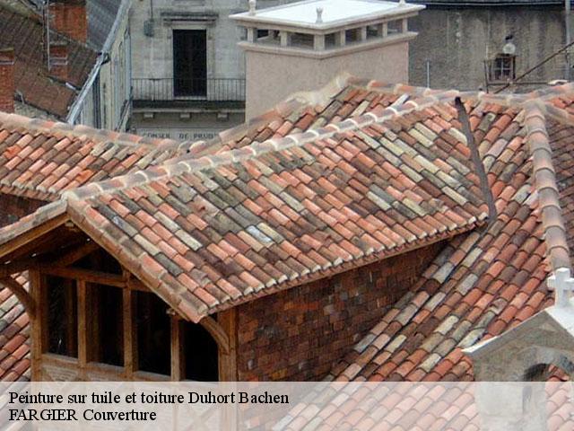 Peinture sur tuile et toiture  duhort-bachen-40800 FARGIER Couverture