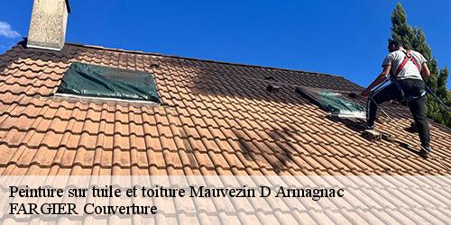 Peinture sur tuile et toiture  mauvezin-d-armagnac-40240 FARGIER Couverture