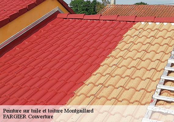 Peinture sur tuile et toiture  montgaillard-40500 FARGIER Couverture