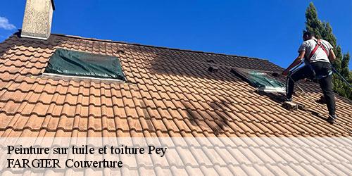 Peinture sur tuile et toiture  pey-40300 FARGIER Couverture