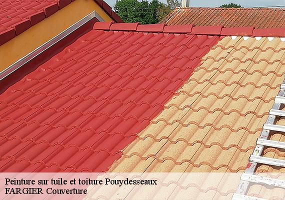 Peinture sur tuile et toiture  pouydesseaux-40120 FARGIER Couverture