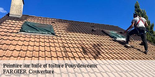 Peinture sur tuile et toiture  pouydesseaux-40120 FARGIER Couverture