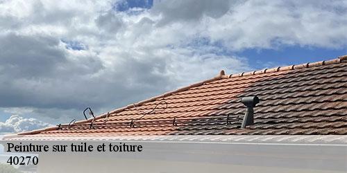 Peinture sur tuile et toiture  renung-40270 FARGIER Couverture