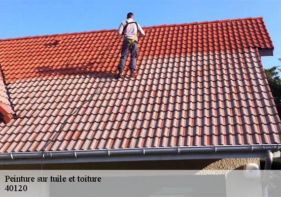 Peinture sur tuile et toiture  roquefort-40120 FARGIER Couverture