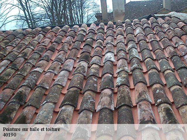 Peinture sur tuile et toiture  saint-gein-40190 FARGIER Couverture