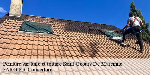 Peinture sur tuile et toiture  saint-geours-de-maremne-40230 FARGIER Couverture
