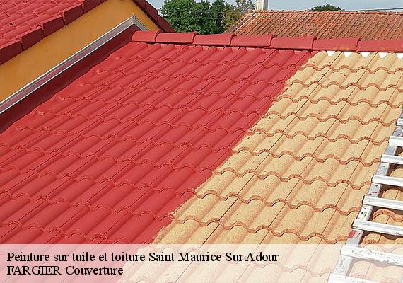 Peinture sur tuile et toiture  saint-maurice-sur-adour-40270 FARGIER Couverture